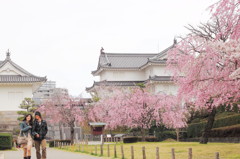 人生劇場＠駿府公園3