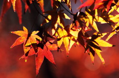 Colors and shadows