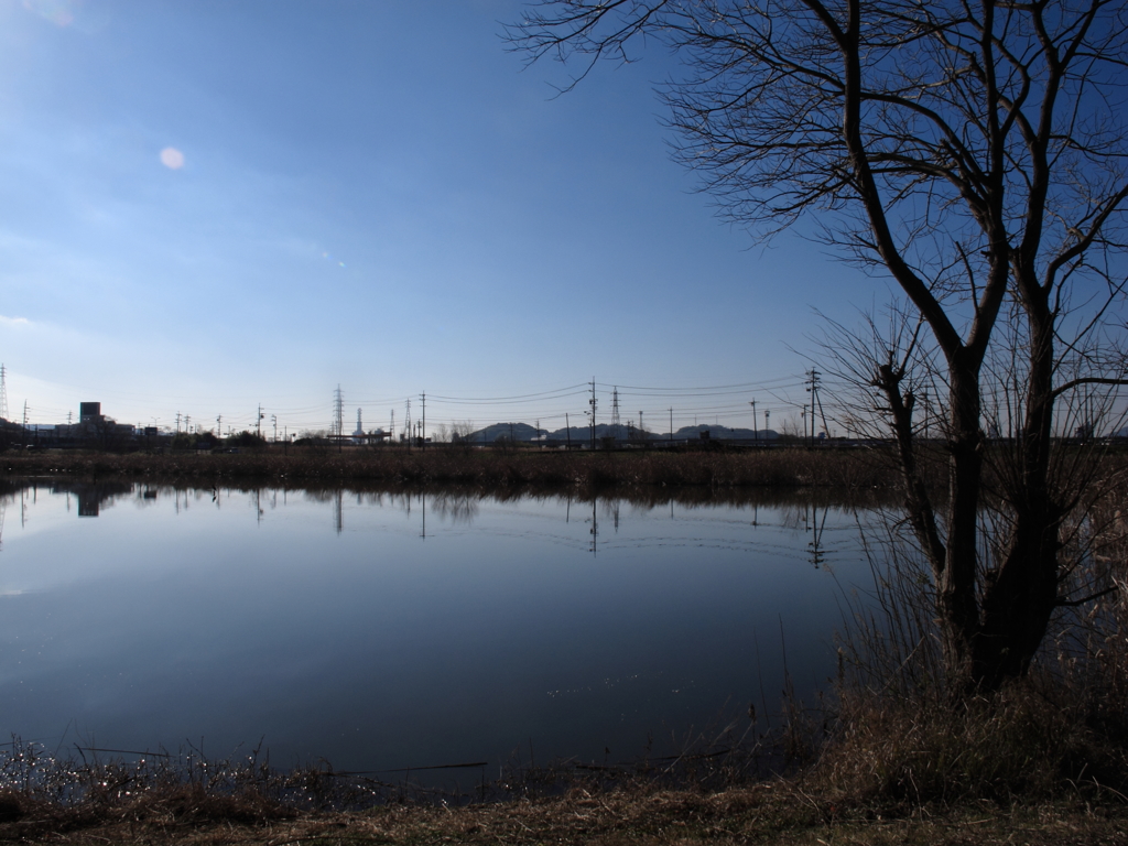 Asabata marsh in Feb. 10th-2