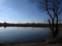 Asabata marsh in Feb. 10th-2