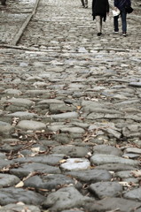 A stone‐paved road to Toshogu Shrine