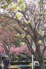 A spring afternoon