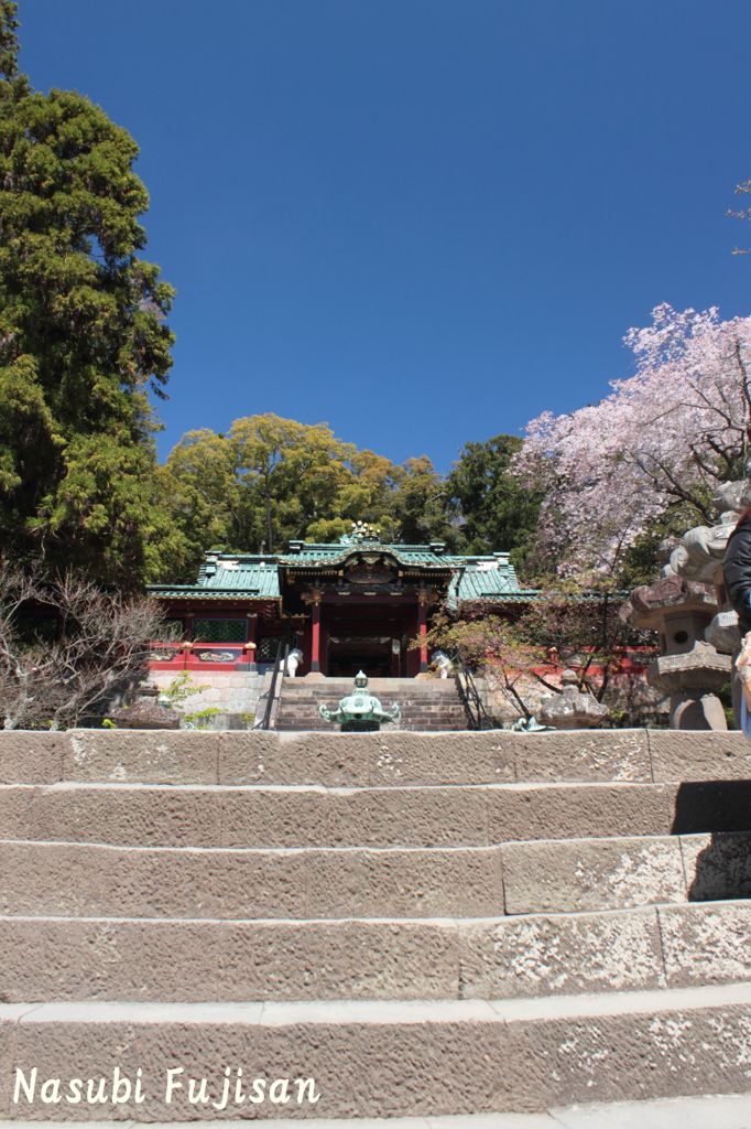 春の久能山東照宮