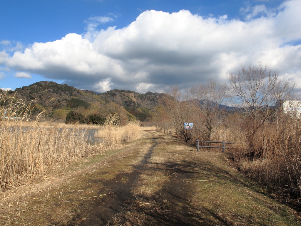 A  promenade in Asabata Shizuoka