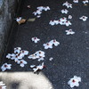 鎮魂歌