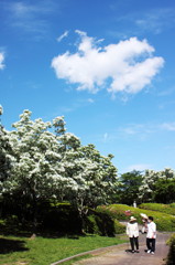 Snow in May1