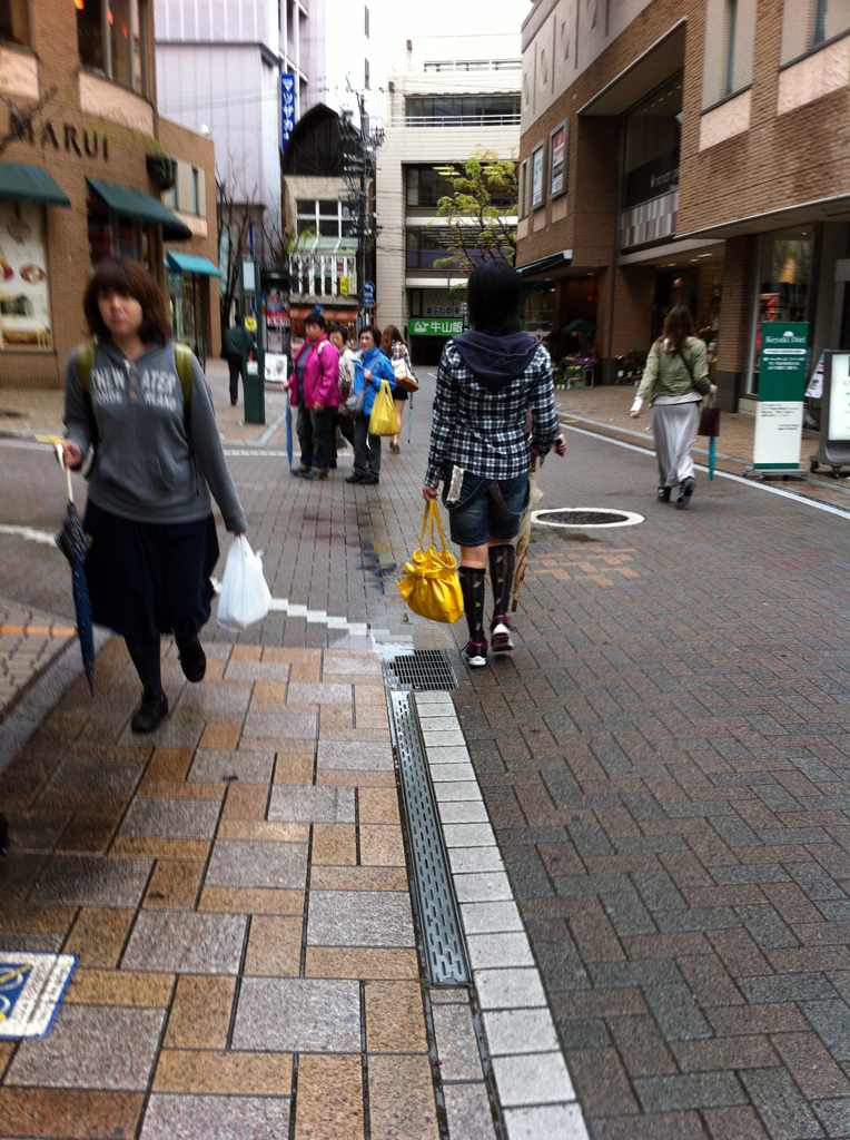 雨のけやき通り