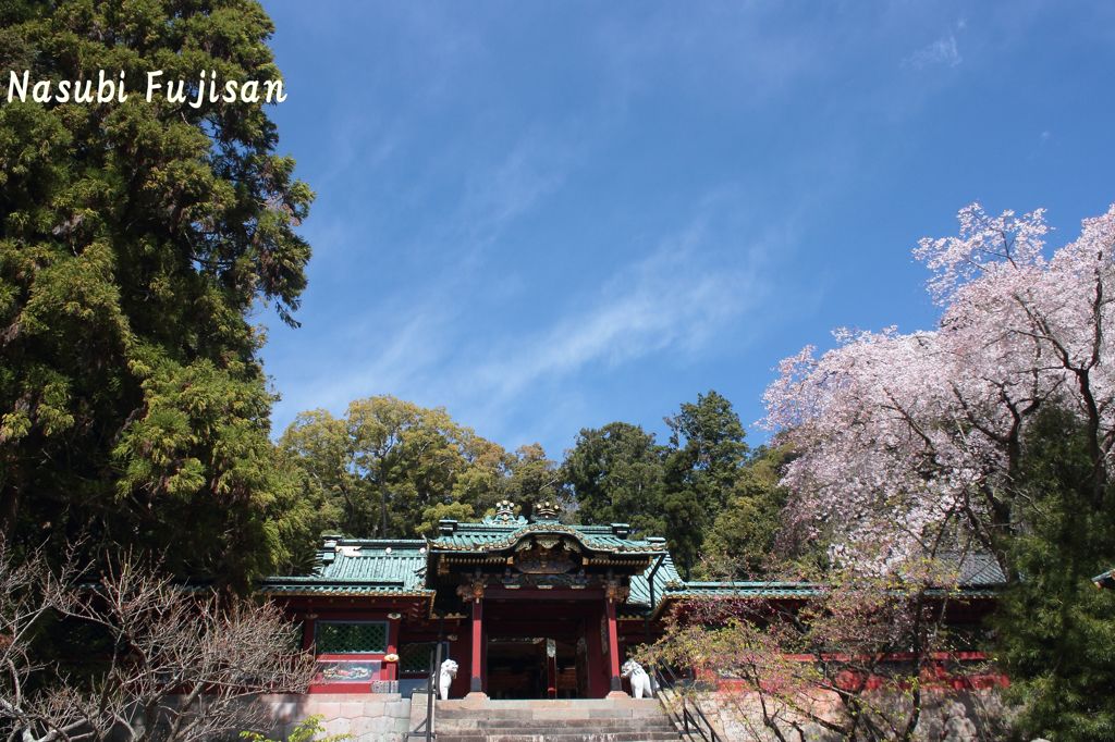 春の久能山東照宮