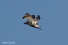 ひねり技（ボディ）