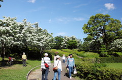 Snow in May3-A naational holiday-