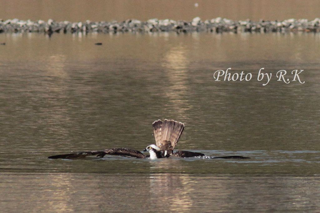 「いい湯だな」（違うよ）