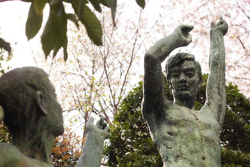 「ほら、サクラが満開だよ」