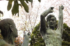 「ほら、サクラが満開だよ」