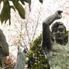 「ほら、サクラが満開だよ」