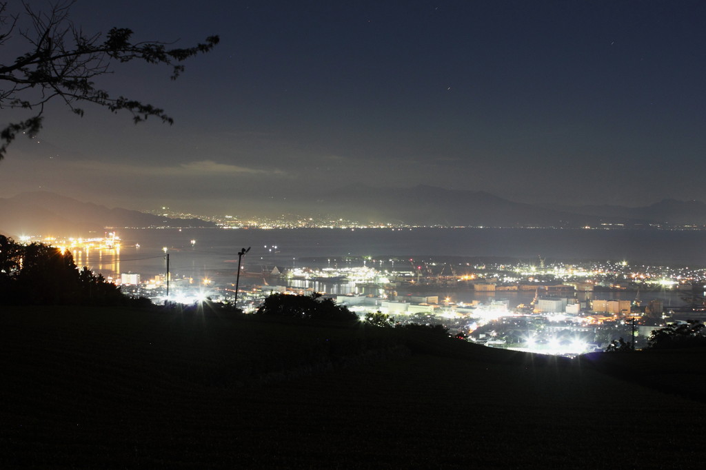 日本平からの夜景・手前は茶畑