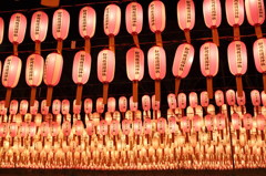 Mitamta festival (lantern) 3
