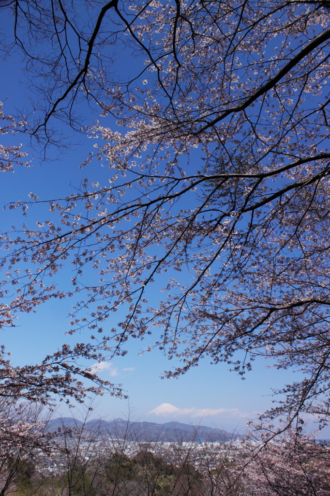 霊峰へ向かって