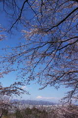 霊峰へ向かって