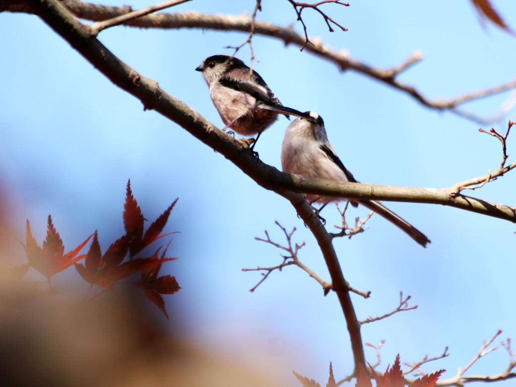 うわ、前が見えないよぉ