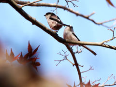 うわ、前が見えないよぉ