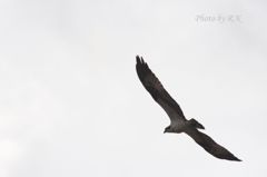 ちょいと絵画風の構図で