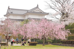 人生劇場＠駿府公園5