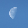 朝の月