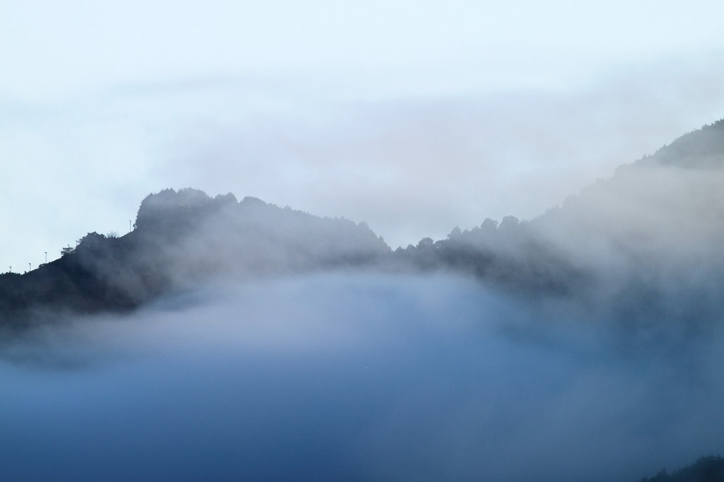 朝霧