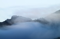 朝霧