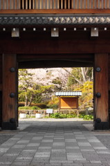 門の向こうの春