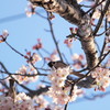 おい、大丈夫か？
