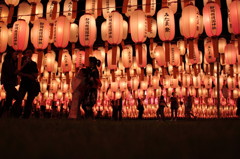 Mitamta festival (lantern) 7