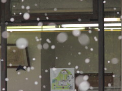 春の雪1