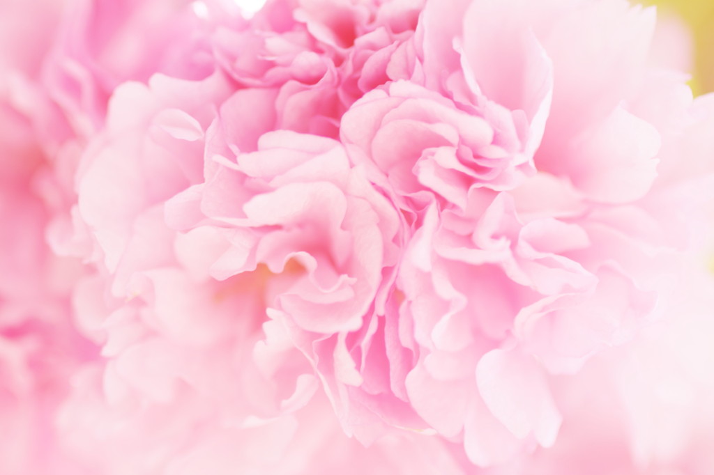 Frill