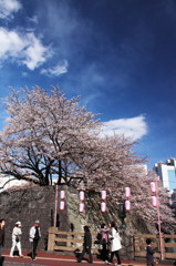 静岡まつりは寒かった-空が青かった