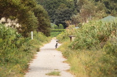 Autumn2