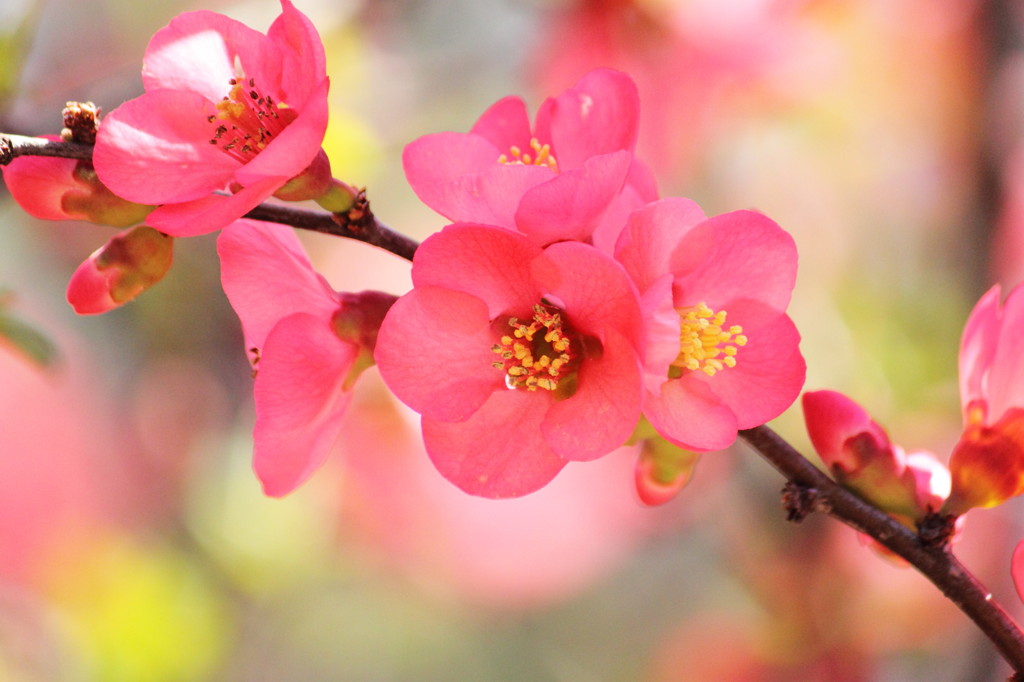 ほのぼの・・・