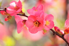 ほのぼの・・・