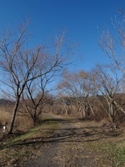 Asabata marsh in Feb. 10th-1