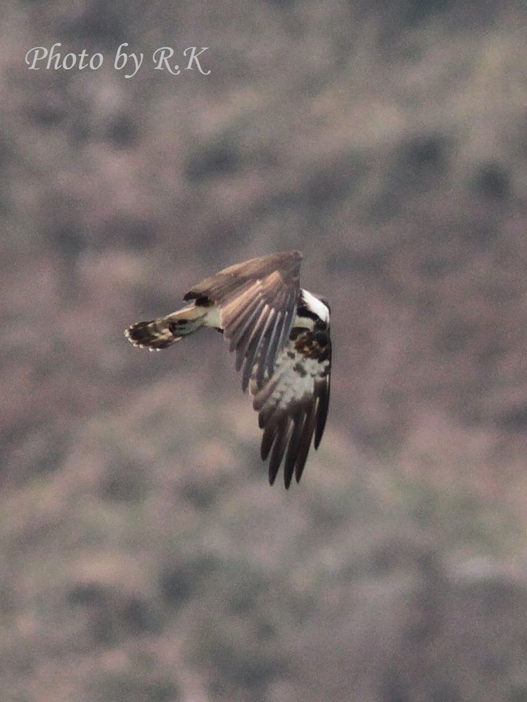 「寒いのう～」