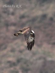 「寒いのう～」