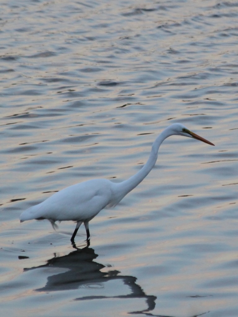 夕暮れにたたずむ