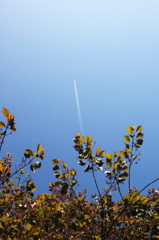 春の飛行機雲
