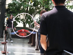 A parrot is flying to ring
