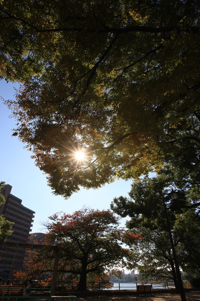 昼下がり