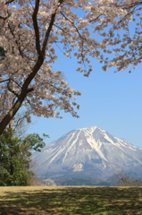 春２