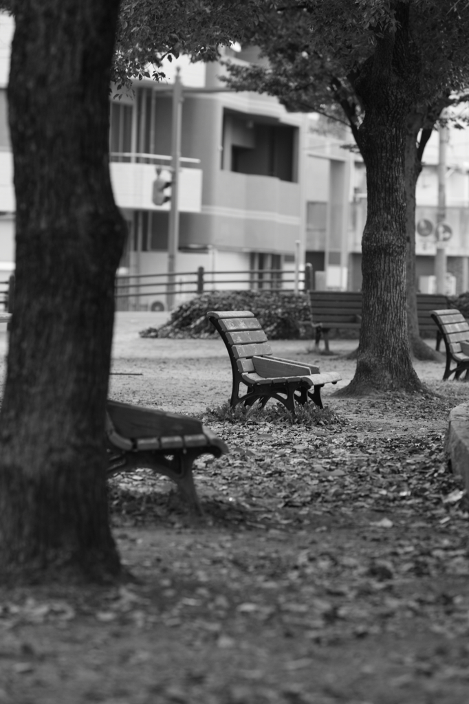 ベンチ