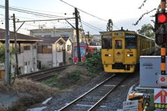 鹿児島市電谷山線とJR指宿枕崎線の平行路線