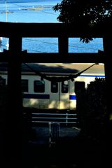 20110308_028
