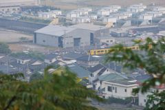 喜入のみかん山から